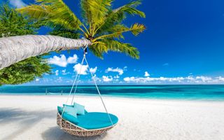 PassionLina wish list item 2 thumbnail