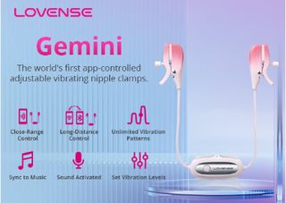 Gemini Toy