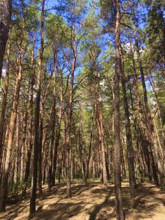 Spend more time in nature