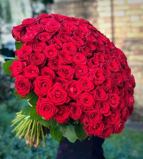 100 red roses