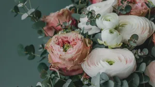 Flowers -5555tkn