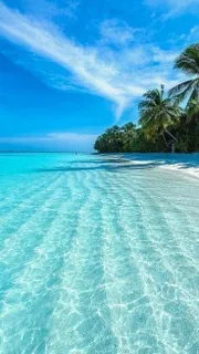 Trip to the sea