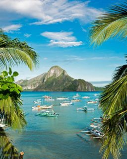 Exotic Trip