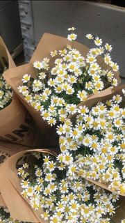 Flowers♥