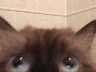 I just want to be happy