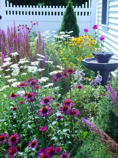 Beautiful gardens