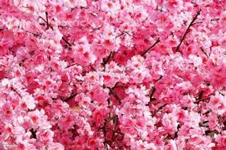 ErynMatthews wish list item 1 thumbnail