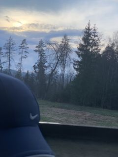 Moving to another country