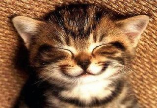 Happiness