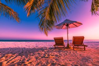 Dream Vacation