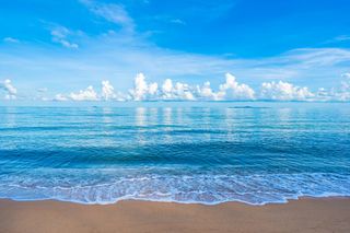 I dream of seeing the ocean