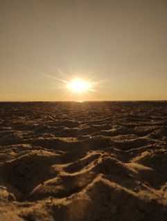 I want to bring something else than others do