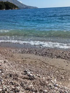 Sea ❤️