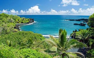 Vacation at the airport ocean