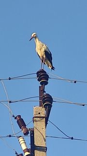 Необходимо много общения