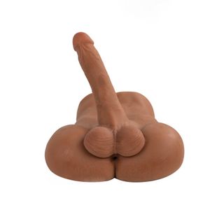 Torso