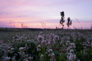 suxiyao813 wish list item 1 thumbnail