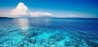Sea
