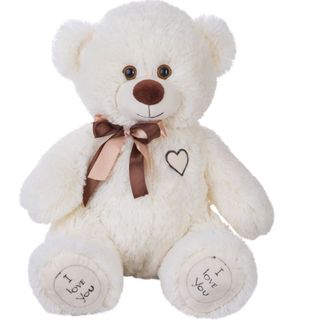 I want a big teddy bear