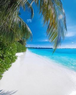 Travel around the world