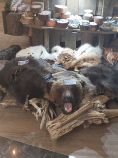 SofiRoman wish list item 1 thumbnail