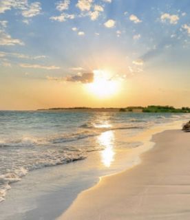 Do we want to go to the sea? Do we want to sea?