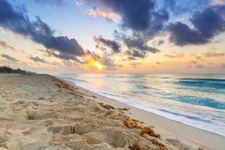 MY DREAM VACATION❤️‍?