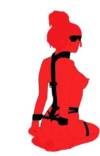 Nikkisecretsxx wish list item 1 thumbnail