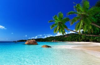 prostoMaria wish list item 1 thumbnail