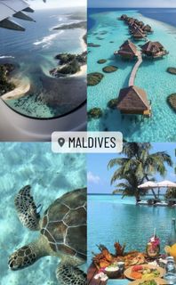 Maldives love