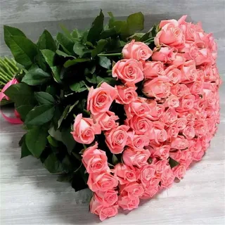 pink roses