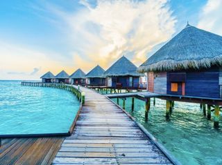 Myr-kiss wish list item 1 thumbnail