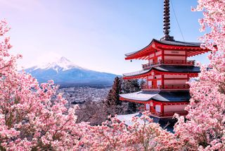 TRIP TO JAPAN!