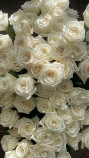 tiny_rousi wish list item 1 thumbnail