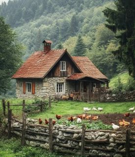 a small cozy house