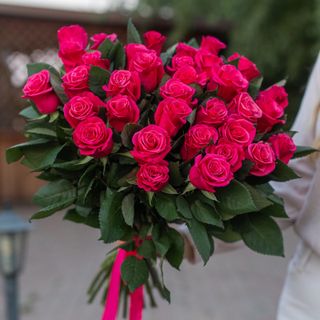 Bouquet of flowers