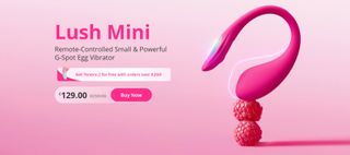 Lovense mini