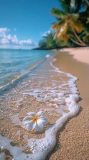 My First Vacation Of The Sea ??
