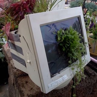 computer monitor