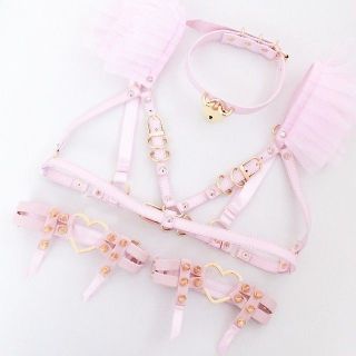 Sexy clothes and sex toys?