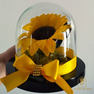 Eternal sunflower