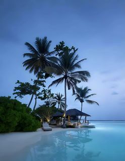 Trip to the Maldives ?✨