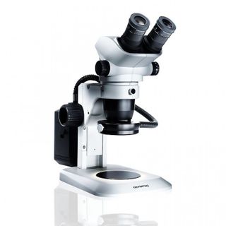 Микроскоп/microscope