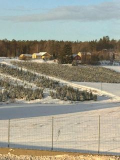 I dream of being better every day