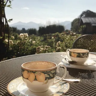 Breakfast in ltaly