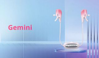Gemini