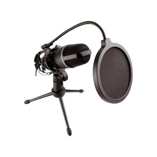 Professional Microphone