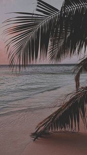 I want to rest my body and soul