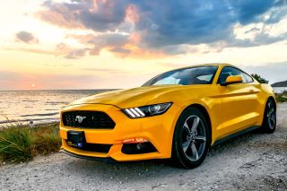 Big dreams