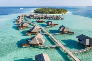 I want to go to the Maldives